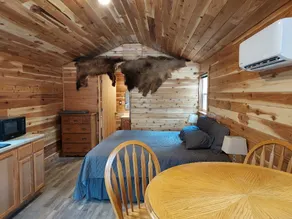 Bad Bear cabin - Image 2