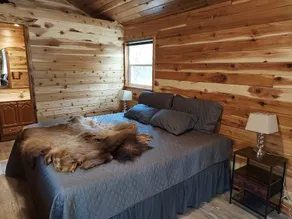 Bad Bear cabin - Image 4