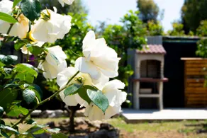 100 meters from the sea - Refuge on the Sea - Image 2