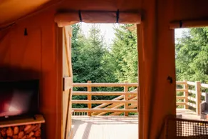 Giraffe lodge nestled in a forest - Image 3