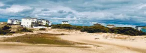 Southern Swan wild horse retreat - Image 3