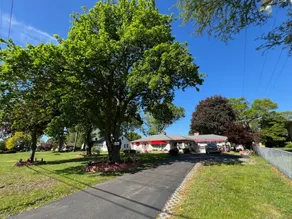 Charming pet-friendly house w/ large fenced yard - Image 4