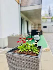 Passhöhe - High-quality ground floor apartment - Image 4
