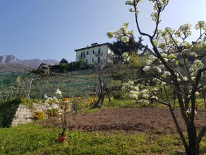 Il Palazzo apartment with a view of the lake and nature - Image 2