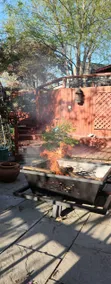 Garden House - Image 5
