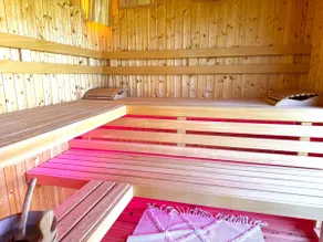 Wellness oasis near Vienna - Image 2