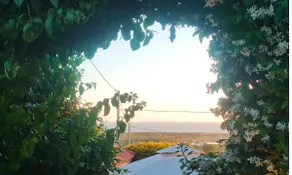Lovely villa with terrace and outdoor shower - Image 5