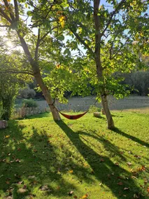 A bedroom in paradise - Image 5