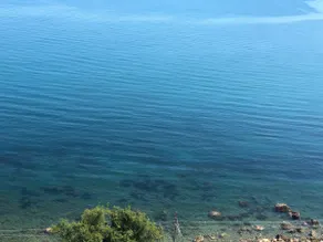 NFACCI o MARI - Image 4