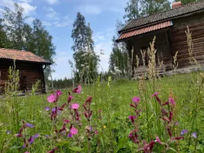 Farmhouse in Bjursås - Image 5