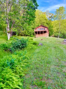 Birdtown Guesthouse - Nature Lovers Paradise - Image 5