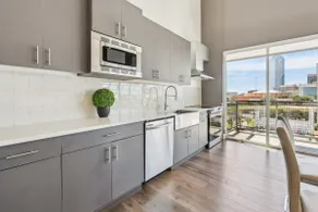 Downtown Dallas Penthouse No 602 - Image 3