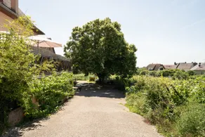 ”Riesling” gîte in organic wine estate. - Image 3