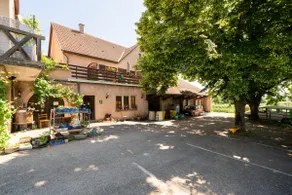 ”Riesling” gîte in organic wine estate. - Image 2