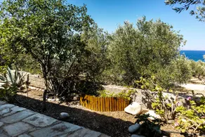 Veristic Crete. Life In An Olive Grove By The Sea. - Image 4