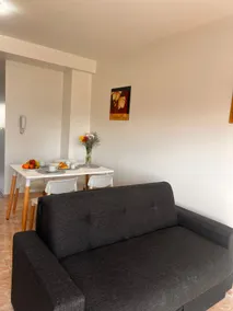 Spacious, comfortable and bright apartment - Image 3