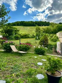L'Écrin des Arts: charm and views of the vineyard - Image 5