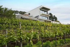 PoliDouro House - Vila Marim - Image 2