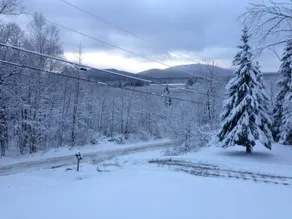 Spring in the Green Mountains/Pet Friendly-woof - Image 2