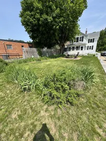 The Root River Trail House - Image 3