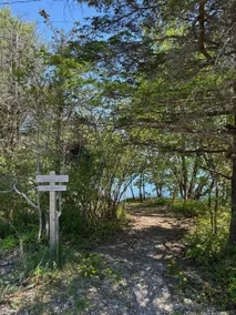 Seaview in Acadia National Park - Image 3