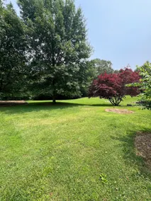 Martin's Lake House - Image 5