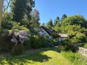 Mayfly Cottage in Oughterard - Image 3