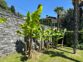 Italian - Image 5