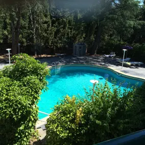 ”La Colina” Large pool, terrace and barbecue. - Image 5