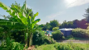 Oasis of peace and greenery - Image 5