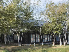 Entire house surrounded by birch trees | Nagano Azumino haku36stay - Image 2
