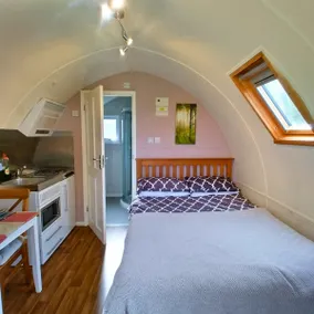Silver Birch - Glamping Pod Set in Orchard - Image 3