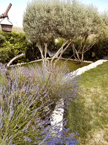 Private pool garden annex in Vedène - Image 5