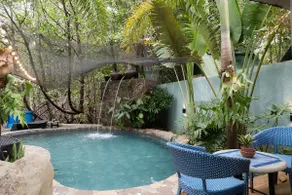 Beach House—Mangroves, Breakfast & Welcome Drinks - Image 3