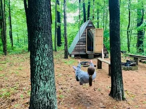 A-Frame Cabin in the Woods - Image 2