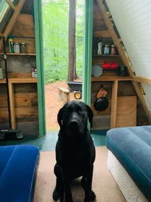 A-Frame Cabin in the Woods - Image 5