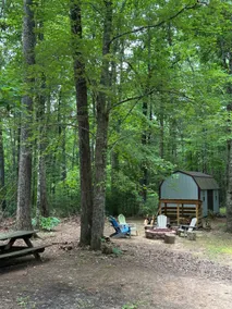 Peaceful, cozy cabin in the woods - Image 3