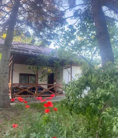 Casa Ileana - grandparents' courtyard - Image 3