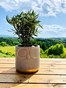 Tiny House with a Beautiful View - Image 3