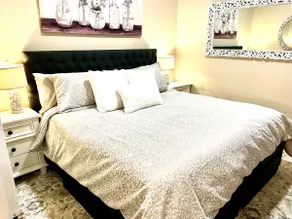 King suite historic apt downtown - Image 3