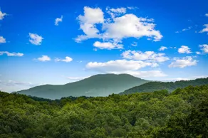 MTN Views! Private Cabin | Hot Tub, Fireplace - Image 4