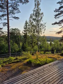 Cabin near forest and nature - Image 4