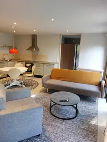 Newly-built modern cabin! - Image 2