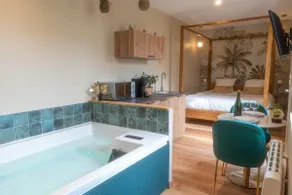 Exceptional Spa & Sauna Suite - Image 5
