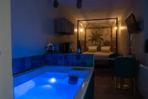Exceptional Spa & Sauna Suite - Image 2