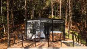 Wonderful Luxury Glass Cabin in Nature - Image 3
