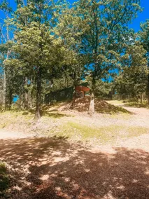 The Cabins at Bent Pine Ranch ~ Cabin #2 - Image 2