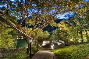 New! Bobo Bird - Jungle Views - Image 5