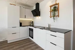 Newly renovated apartment by the sea - Image 4