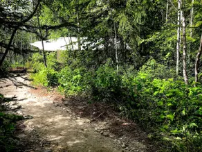 Canvas Cabin - Image 4